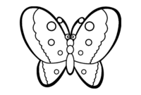 schmetterling ausmalbild einfach