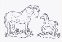 sternenschweif ausmalbilder