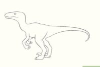 dino bilder zum zeichnen