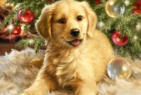 kinderbilder weihnachten