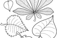 blätter zum ausmalen für kinder