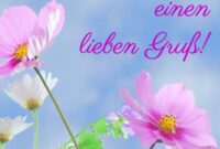 muttertagswünsche bilder muttertagswünsche bilder