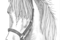 vorlage pferde malen vorlage pferde malen