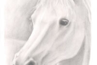 pferd gemalt pferd gemalt