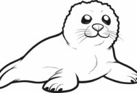 seehund ausmalbild seehund ausmalbild