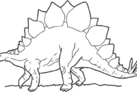 malvorlage stegosaurus malvorlage stegosaurus