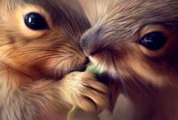 wunderschöne tierbilder