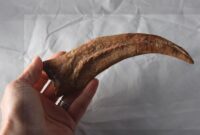 dino pflanzenfresser lange krallen dino pflanzenfresser lange krallen