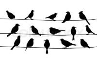 silhouette vögel auf ast silhouette vögel auf ast