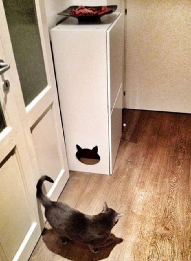 View Meuble Litière Chat Ikea Gif