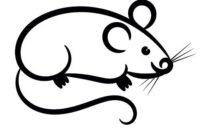 maus malen vorlage maus malen vorlage