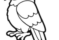 papagei bilder malen papagei bilder malen