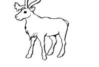 rentiere ausmalen