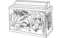 ausmalbilder aquarium ausmalbilder aquarium