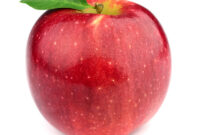 bilder apfel bilder apfel