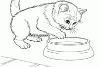 malvorlagen katze malvorlagen katze