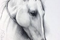 pferd bild zeichnung