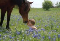 pferde kleinkinder pferde kleinkinder