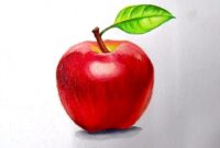 apfel zeichnung apfel zeichnung