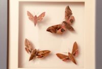 schmetterling im bilderrahmen