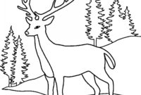 reh vorlage zum ausdrucken