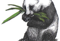 panda malen panda malen