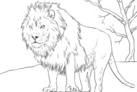 ausmalbild wilde tiere