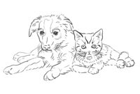 ausmalbild katze und hund