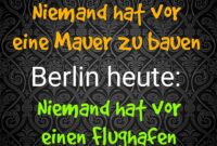 lustige bilder löwe in berlin