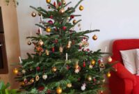 bild christbaum