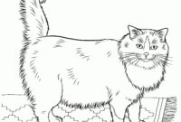 katzenbild zum ausmalen katzenbild zum ausmalen