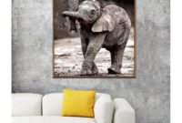 malen nach zahlen erwachsene elefant