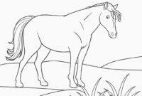 pferd zum ausmalen pferd zum ausmalen