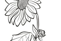 sonnenblumen ausmalbild sonnenblumen ausmalbild