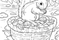 eichhörnchen zum ausmalen