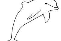 delfin bilder zum zeichnen