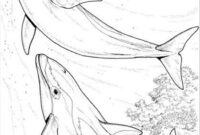 delphine ausmalbilder