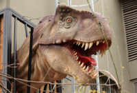 bilder von dinosauriern bilder von dinosauriern