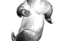 zeichnung bär zeichnung bär