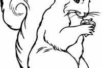 eichhörnchen malvorlagen