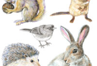 waldtiere zeichnung waldtiere zeichnung