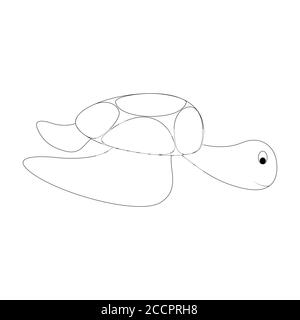 Abbildung einer Schildkröte Skizze auf einem weißen Hintergrund Stock