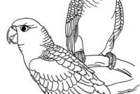 malvorlagen tiere malvorlagen tiere