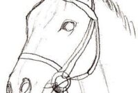 pferde zum nachmalen