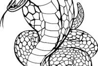 schlangen ausmalbild