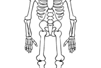 skelette zum ausmalen