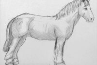 pferde zeichnen vorlagen pferde zeichnen vorlagen