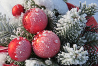 vorweihnachtszeit bilder lustig vorweihnachtszeit bilder lustig