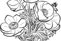 ausmalbilder blumensträuße