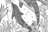 delphin ausmalbilder